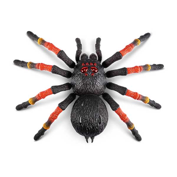 Robot giant tarantula robo alive