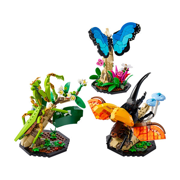 21342 Colección de insectos (1111 piezas)