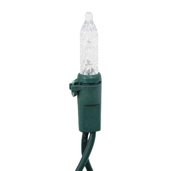 Luz en serie blanca 100 bombillas LED