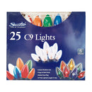 Luz en serie 25 multicolor