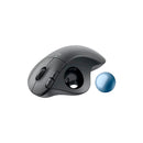 Logitech Mouse inalámbrico Ergo grafito
