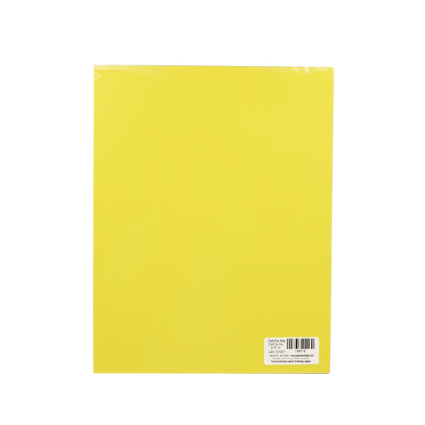 Cartulina artes manuales tamaño carta 10u surtidas Primavera.