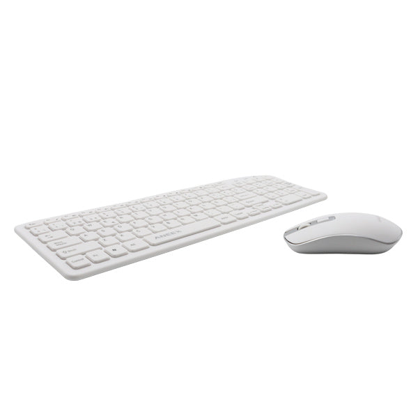 Combo Teclado- Mouse E-WKM9920 Annex