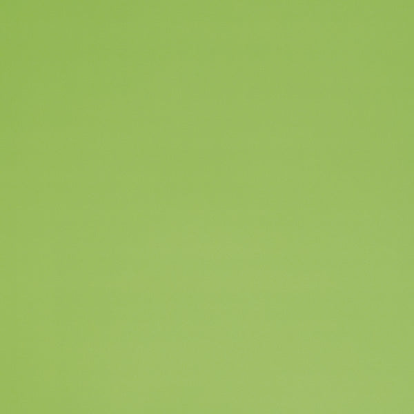 Cartulina neón verde pliego 50x70cm 180 gramos Basic.