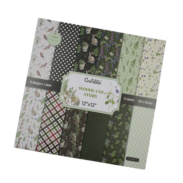 Papel para scrapbooking 12 hojas