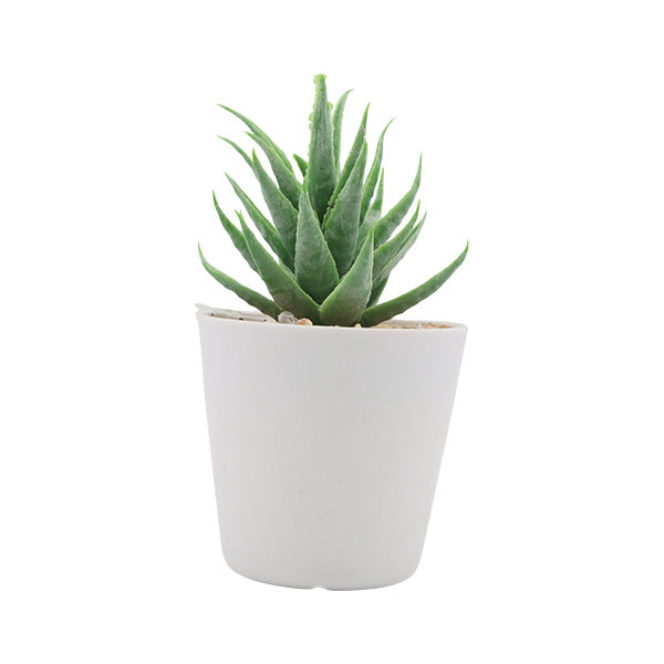 Planta artificial