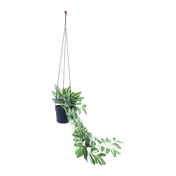 Planta artificial colgante