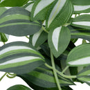 Planta arficial colgante