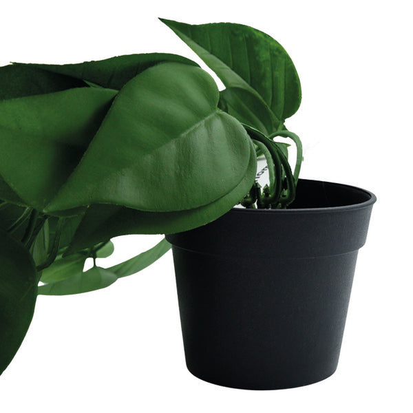 Planta artificial colgante