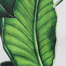 Cuadro decorativo hojas