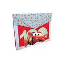 Carpeta plástica Cars Primavera