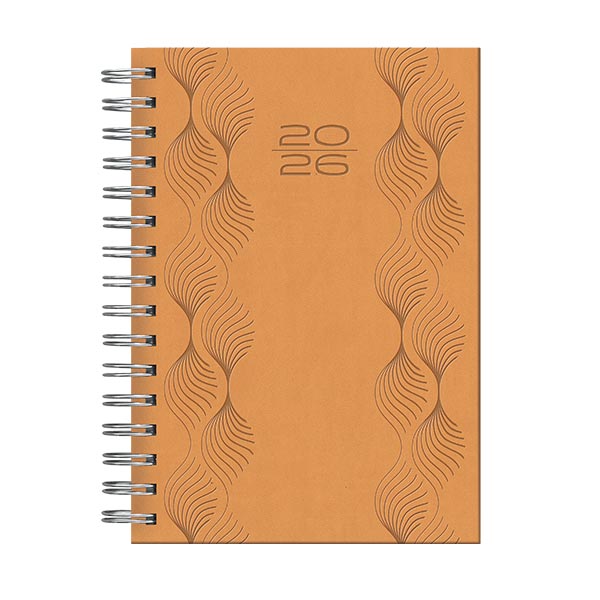 Agenda 26 diaria resortes cosmos