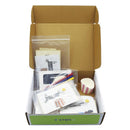 Juego Stem 5pcs
