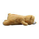 Peluche oso 50cm