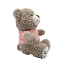 Peluche oso 25cm
