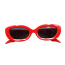 Anteojos de sol para dama  6149 - Boga Accessories