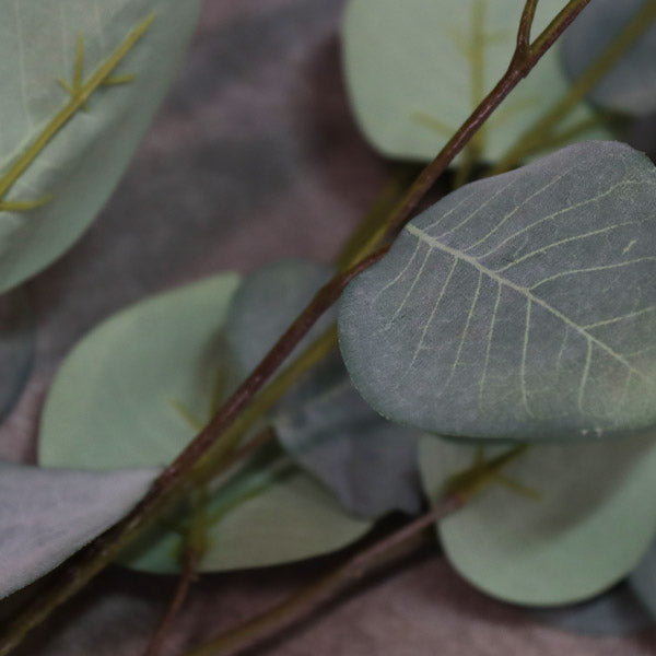 Eucalipto artificial