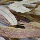 Planta artificial