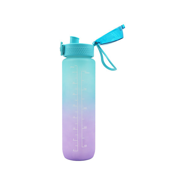 Botella de 1 litro plástica