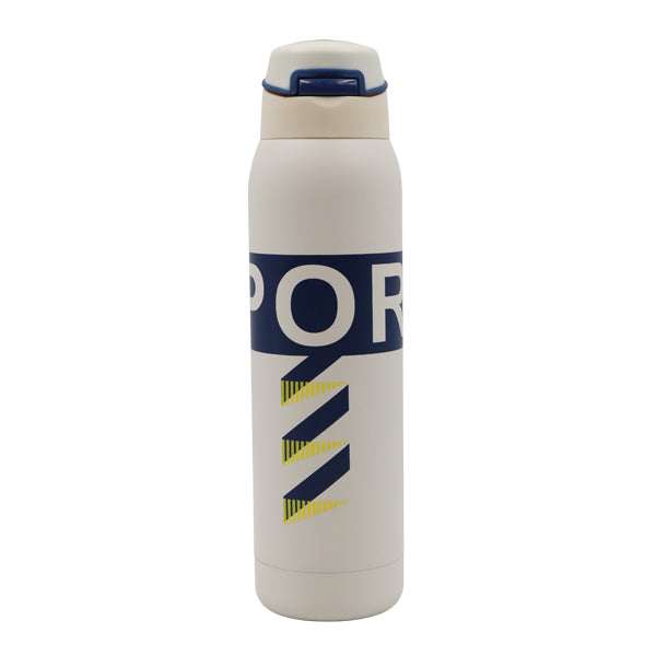 Botella insulada 500ml