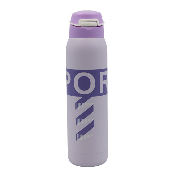 Botella insulada 500ml
