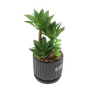 Planta artificial 26cm