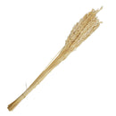 Ramas secas 65cm