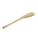 Ramas secas 65cm