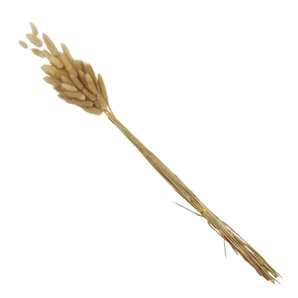 Ramo hierbas secas 60cm