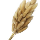 Ramo hierbas secas 60cm