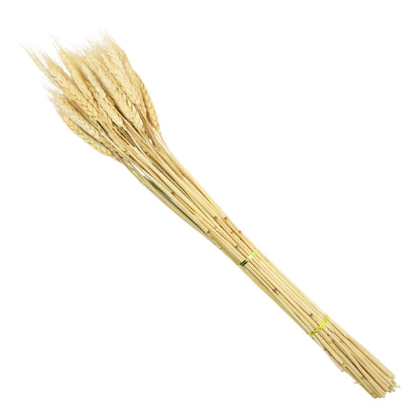 Ramo hierbas secas 60cm