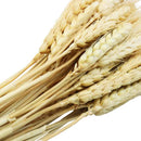 Ramo hierbas secas 60cm