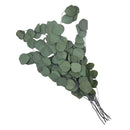 Ramo artificial eucalipto 70cm