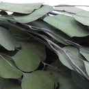 Ramo artificial eucalipto 70cm