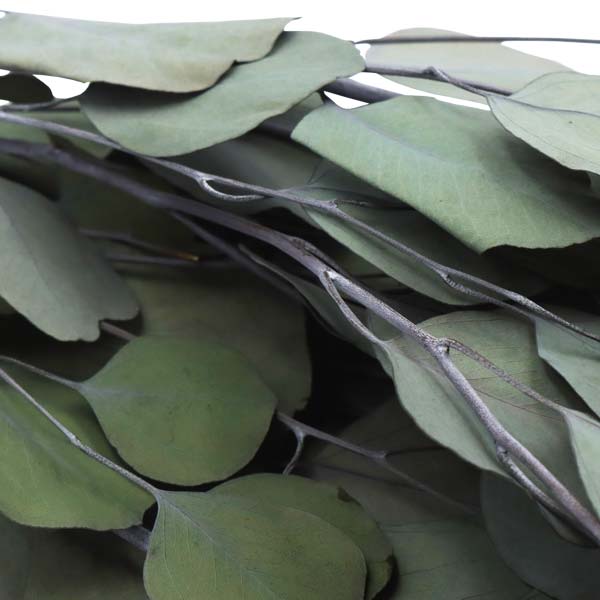 Ramo artificial eucalipto 70cm