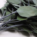 Ramo artificial eucalipto 70cm