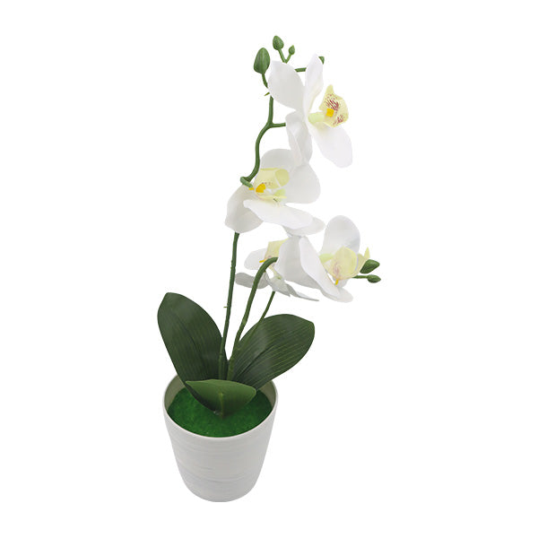 Orquidea art blanco