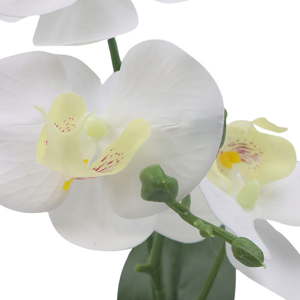 Orquidea art blanco