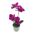 Orquidea morada