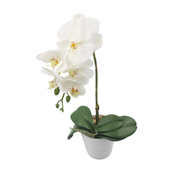 Orquidea art. Blanco