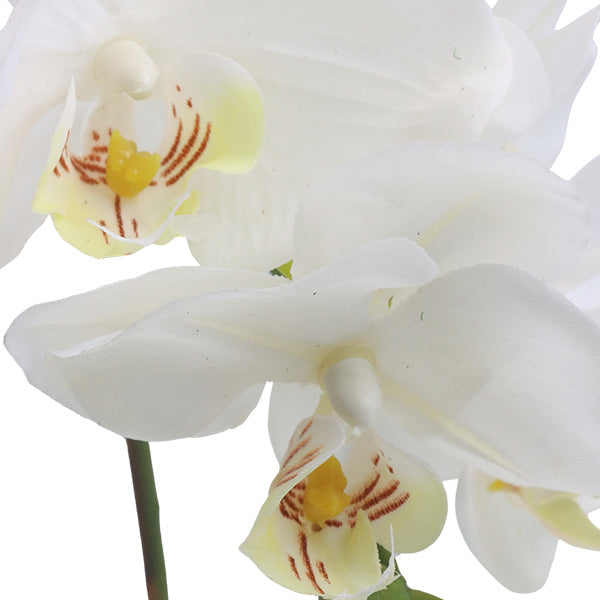 Orquidea art. Blanco