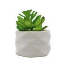 Planta artificial