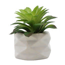 Planta artificial