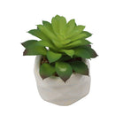 Planta artificial
