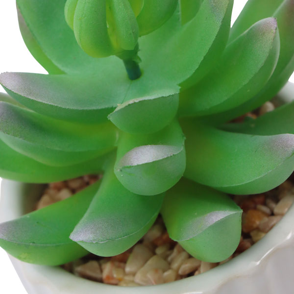 Planta artificial
