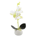 Orquidea art. Blanco