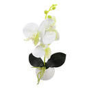 Orquidea art. Blanco
