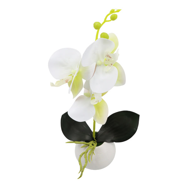 Orquidea art. Blanco