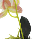 Orquidea art. Blanco