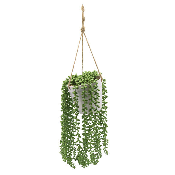 Planta colgante art